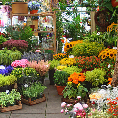 Communal Garden